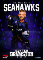 Sawyer Bramston