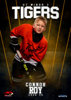 connor roy
