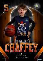 Theodore Chaffey
