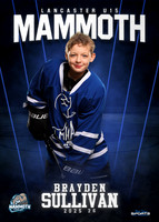 Brayden Sullivan
