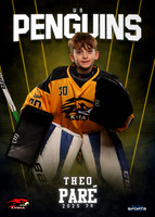 Theo Pare
