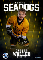 Carter Waller