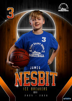 James Nesbit