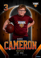 Gauge Cameron