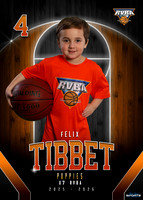 Felix Tibbett