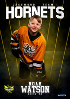 Noah Watson