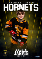 Auldin Jarvis