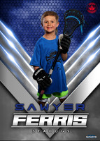 Sawyer Ferris