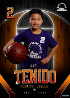 Gael Tenido