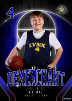 Will Demerchant