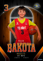 Felix and Theo Bakota